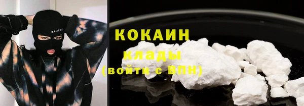 мяу мяу мука Баксан
